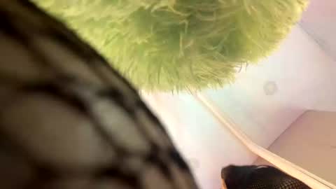 Snapshot of roman_chase chatting on November 13, 2025, 11:42 am online show from November 13, 2025, 11:42 am