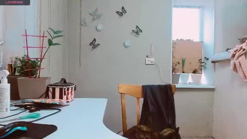 rosa843850 online show from February 2, 2025, 2:13 pm