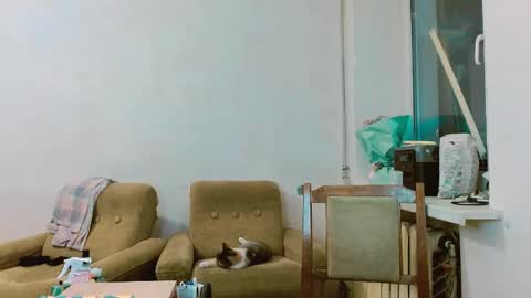 rosa843850 online show from February 28, 2025, 1:47 pm