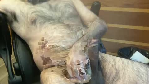 Snapshot of rotoball007 chatting on January 30, 2025, 8:31 pm rotoball007 online show from January 30, 2025, 8:31 pm