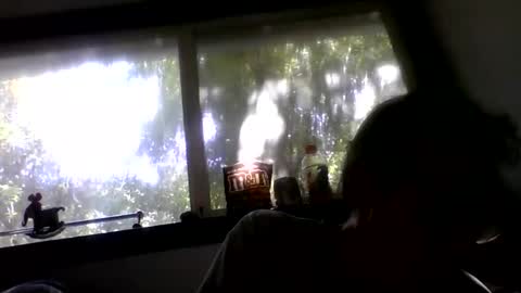 Snapshot of royboy2561 chatting on May 26, 2026, 11:23 pm Roy Murrin online show from May 26, 2026, 11:23 pm
