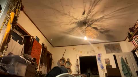 rp131313 online show from November 9, 2025, 1:59 am