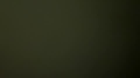 Snapshot of rsxxx130 chatting on February 19, 2025, 2:33 am ireneTxCD online show from February 19, 2025, 2:33 am