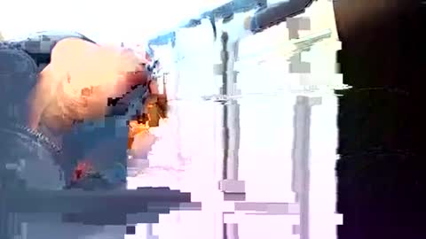 rushover63 online show from March 3, 2025, 10:49 am