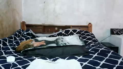 ruu_prettygal online show from April 4, 2026, 8:01 am