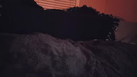 RFC666 online show from November 6, 2025, 7:09 am