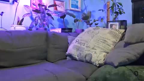 Snapshot of ryantate_88 chatting on December 23, 2025, 3:37 am ryantate_88 online show from December 23, 2025, 3:37 am