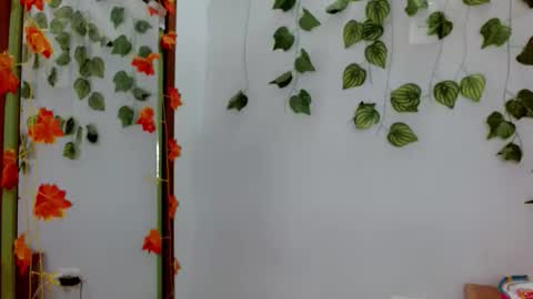 SABRI online show from February 3, 2026, 12:43 pm