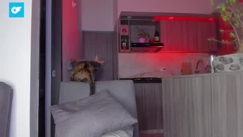 Sag online show from January 21, 2025, 1:50 am