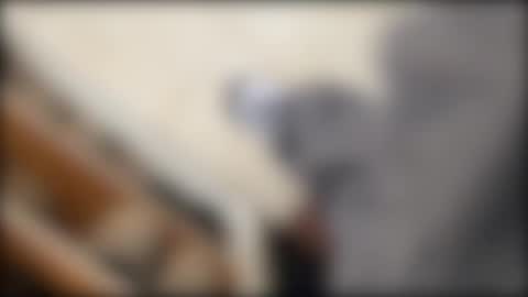 salgemma online show from March 2, 2026, 3:19 pm