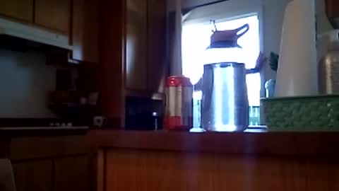 salis1981 online show from February 12, 2026, 7:09 pm