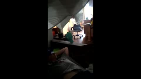 salis1981 online show from March 21, 2026, 11:30 pm