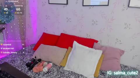 Snapshot of salmaacute chatting on January 18, 2025, 10:17 pm Salma online show from January 18, 2025, 10:17 pm