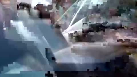 sam223382879 online show from December 25, 2024, 3:28 pm