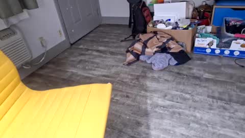 Snapshot of samboiamtho chatting on January 3, 2025, 6:11 am samboiamtho online show from January 3, 2025, 6:11 am