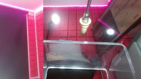 SAMMY online show from February 16, 2026, 10:33 am