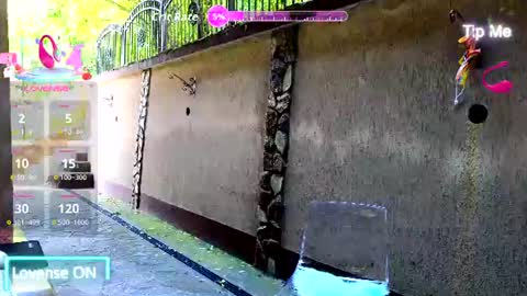 Sandra Milano online show from July 3, 2026, 7:48 am