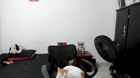 Snapshot of santiceballo chatting on July 17, 2026, 6:09 am Julius Novachrono online show from July 17, 2026, 6:09 am