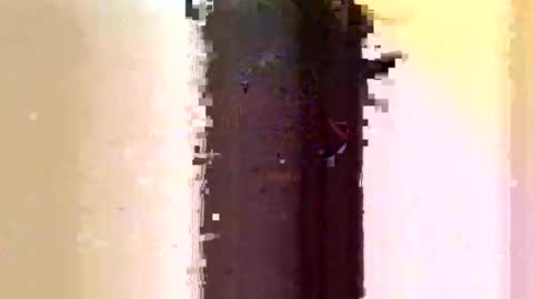 Snapshot of sara_muscle chatting on June 7, 2026, 3:10 am Sara online show from June 7, 2026, 3:10 am