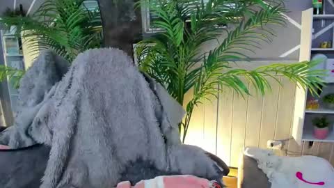 sofia gomez420 online show from December 31, 2024, 9:42 am