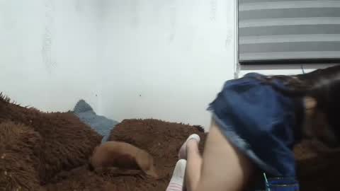 Snapshot of saraandthomas chatting on January 12, 2025, 2:24 am sara and thomas online show from January 12, 2025, 2:24 am