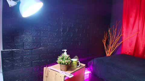 Sarita Moller  online show from December 29, 2024, 6:35 am