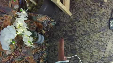 Snapshot of sassylatin45 chatting on March 2, 2025, 1:47 am sassylatin45 online show from March 2, 2025, 1:47 am