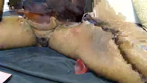 pety online show from January 31, 2026, 7:11 pm