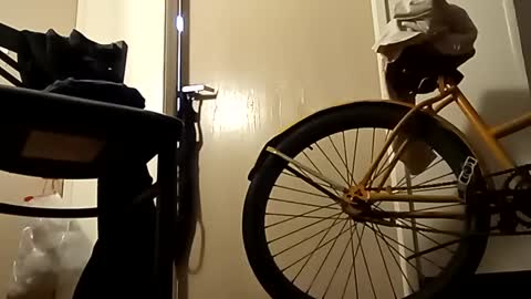 SnowBunny online show from January 2, 2025, 10:58 am