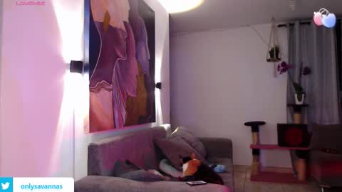 Savannaredhair 33 Angelebony33 online show from September 10, 2025, 11:27 pm