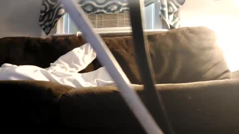 Snapshot of sayhi2mylilguy chatting on February 27, 2025, 7:15 pm sayhi2mylilguy online show from February 27, 2025, 7:15 pm