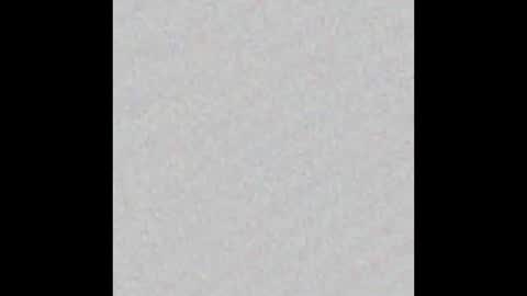 Snapshot of scalertt__steel_ chatting on February 2, 2025, 2:24 pm Venus online show from February 2, 2025, 2:24 pm