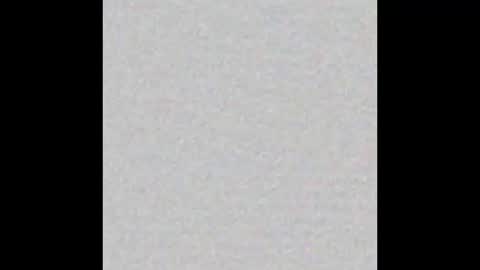 Venus online show from November 2, 2025, 2:08 pm