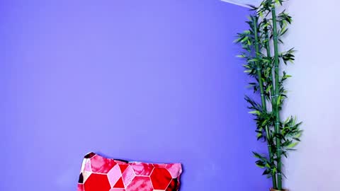 Denis online show from January 6, 2025, 12:05 am