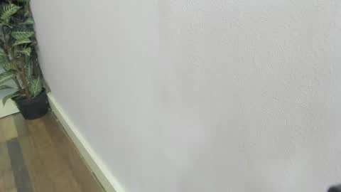 Scarlett 3 online show from February 22, 2026, 3:07 am