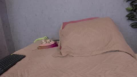 Scarlett 3 online show from February 27, 2026, 3:17 am