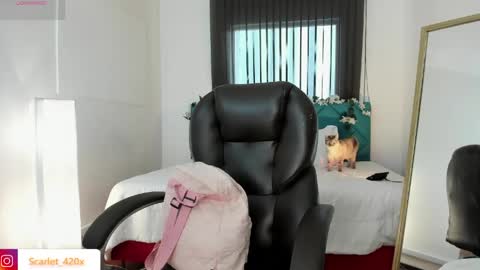 Snapshot of scarlett__cooper__ chatting on May 18, 2026, 12:00 pm Scarlett online show from May 18, 2026, 12:00 pm