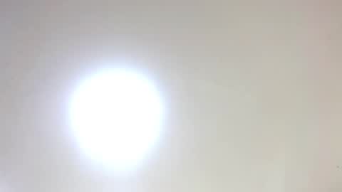 Damar online show from January 16, 2026, 5:50 pm