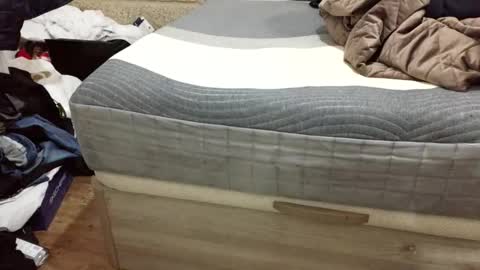 scubi007 online show from November 2, 2025, 10:12 pm