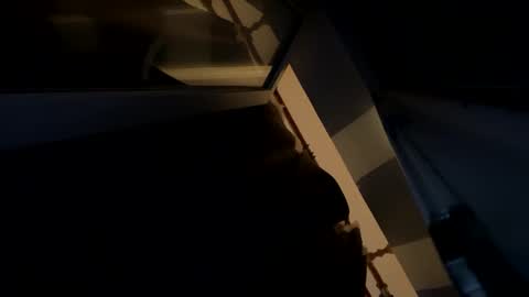 Snapshot of sdddisk chatting on January 22, 2025, 7:45 pm sdddisk online show from January 22, 2025, 7:45 pm