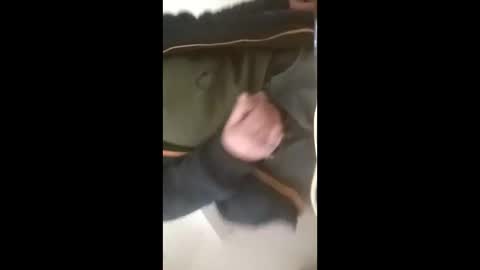 sebtin1979 online show from March 2, 2026, 5:19 am