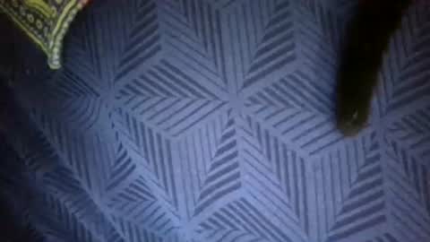 Sunny online show from April 18, 2026, 7:58 pm