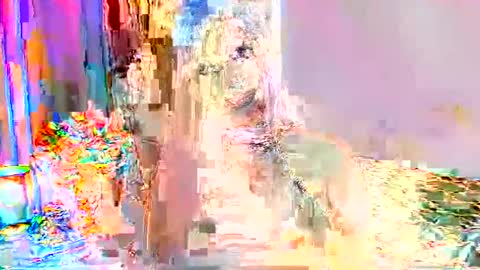 Snapshot of selenashemale chatting on September 24, 2025, 1:31 am Selena online show from September 24, 2025, 1:31 am