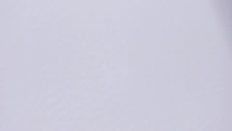 selenne_rouse online show from April 27, 2026, 12:19 am