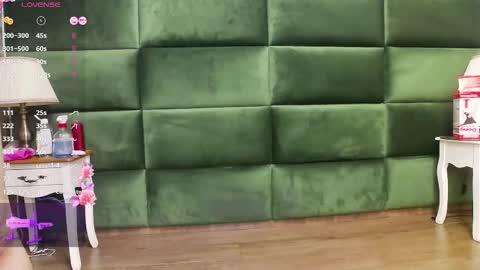 Snapshot of selensummer chatting on November 11, 2025, 8:09 pm Selen online show from November 11, 2025, 8:09 pm