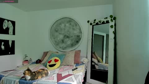 Selyn online show from April 6, 2026, 2:51 pm