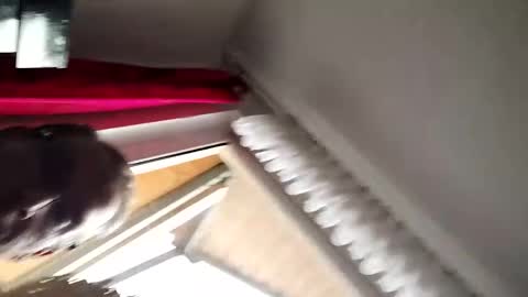 senda82 online show from January 1, 2025, 9:39 am