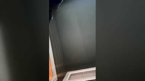 sensay mtz online show from March 23, 2026, 1:09 am