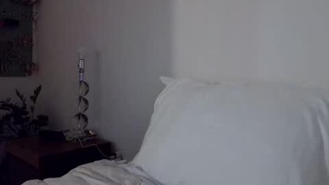 Cam online show from November 29, 2025, 1:08 am