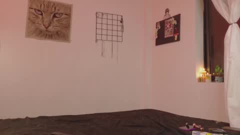 Alexis online show from November 5, 2025, 3:39 am